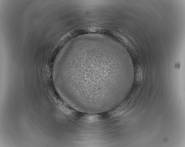 X0000093470569200710261045