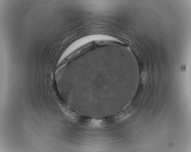 X0000093470570200710261045