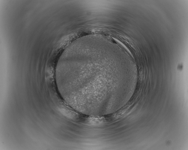 X0000093470571200710261046