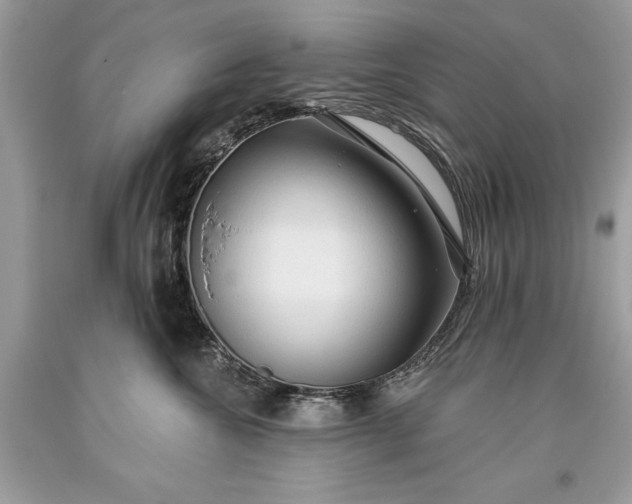 X0000093470572200710261046