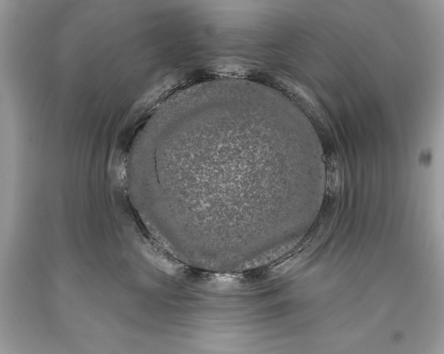 X0000093470573200710261046