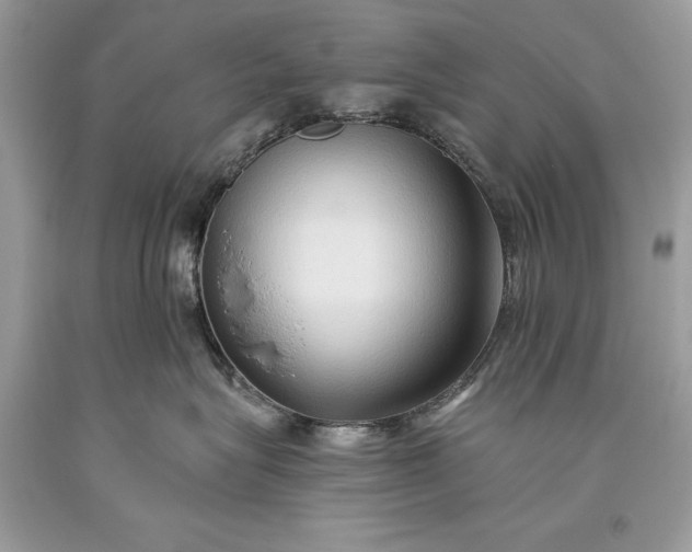 X0000093470575200710261046