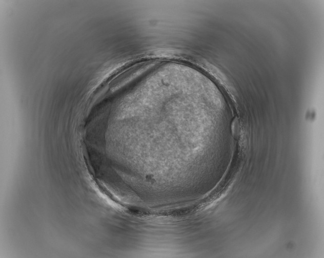 X0000093470577200710261045