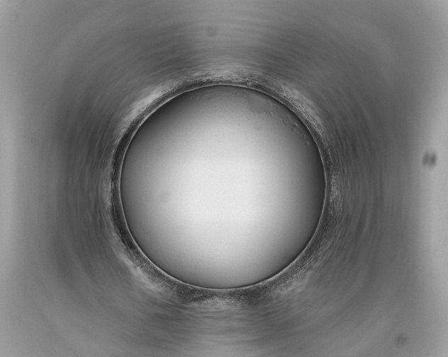 X0000093470578200710261045