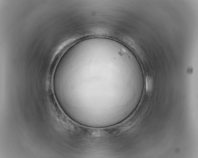 X0000093470579200710261045