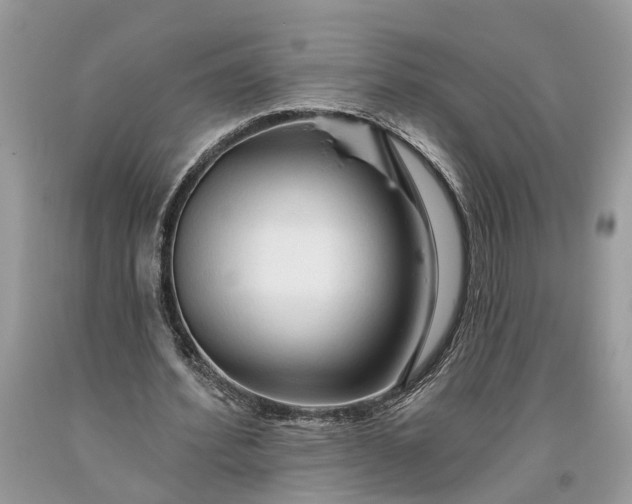 X0000093470580200710261045