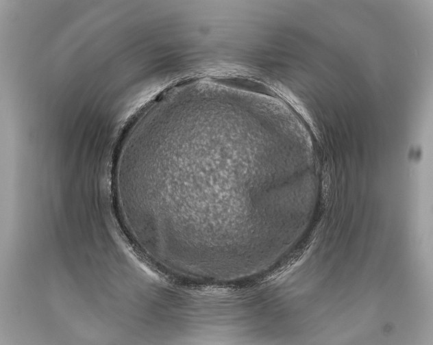 X0000093470581200710261045