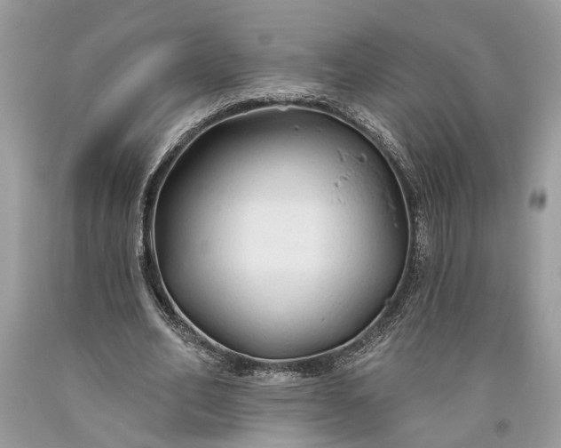 X0000093470582200710261045