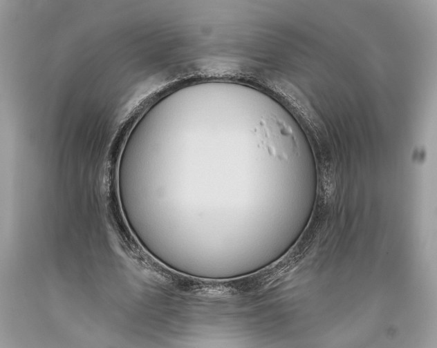 X0000093470583200710261045