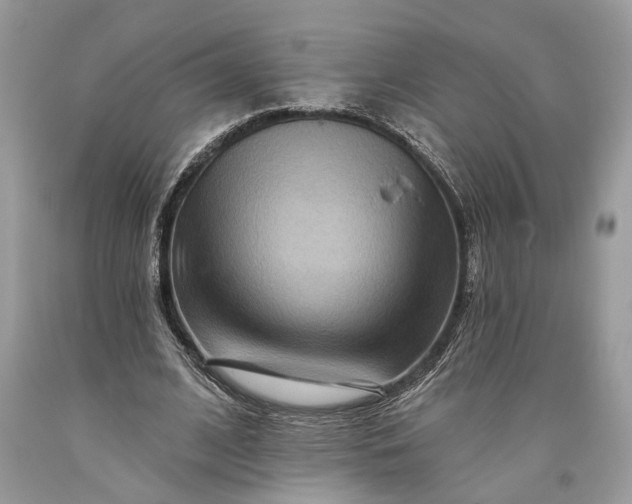 X0000093470584200710261045