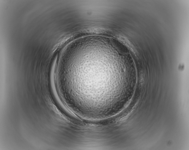 X0000093470585200710261045