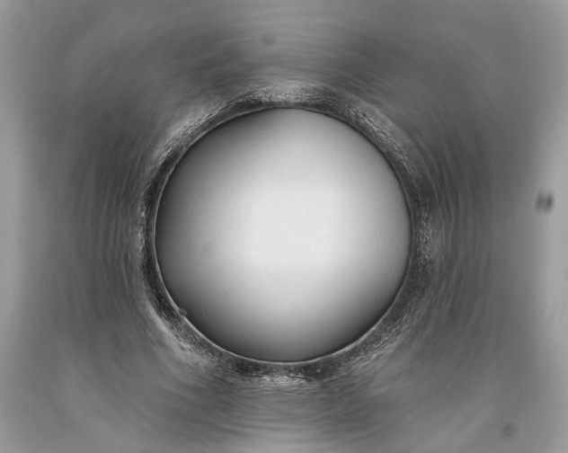 X0000093470586200710261045