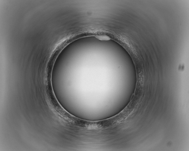 X0000093470587200710261045