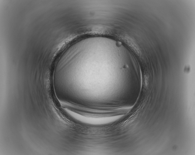 X0000093470588200710261045