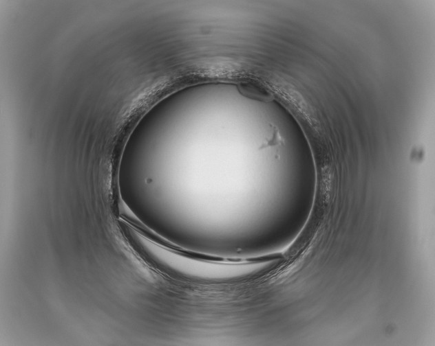 X0000093470589200710261045