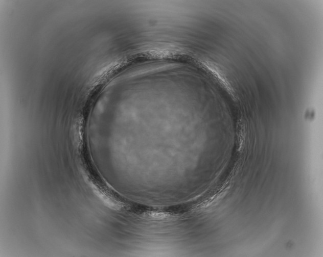 X0000093470590200710261045