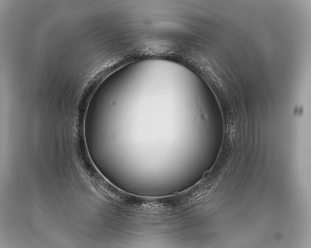 X0000093470591200710261045