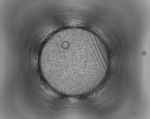 X0000093470592200710261045