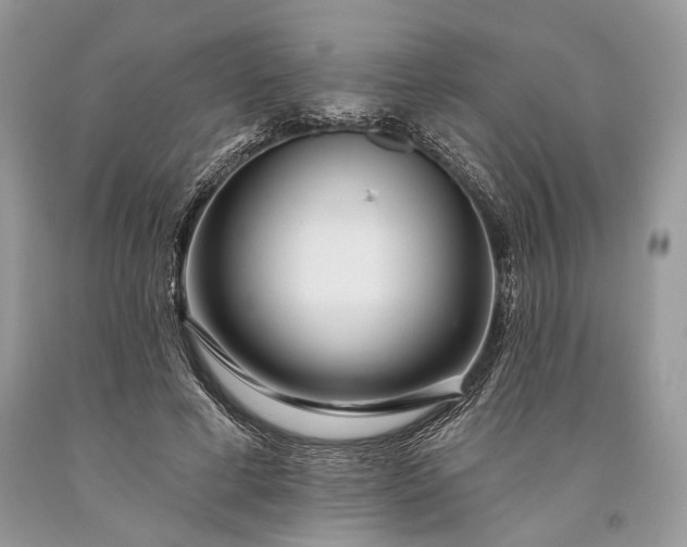 X0000093470593200710261045