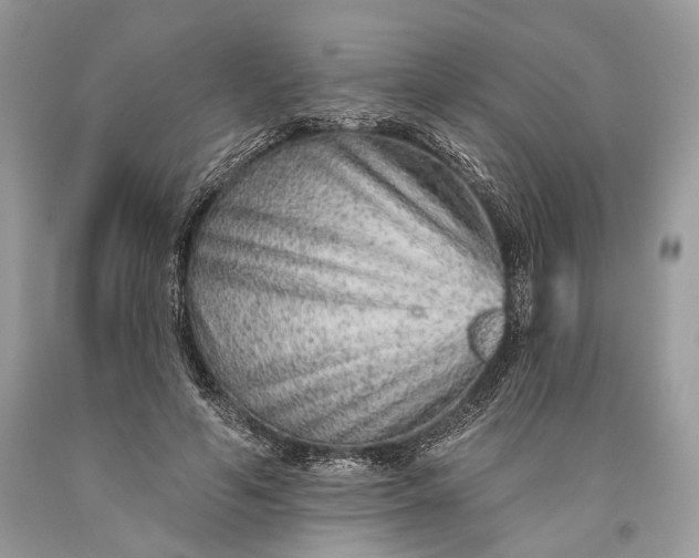 X0000093470594200710261045