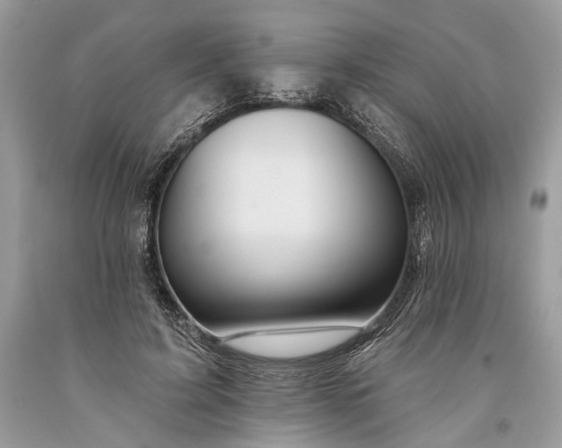 X0000093470595200710261045