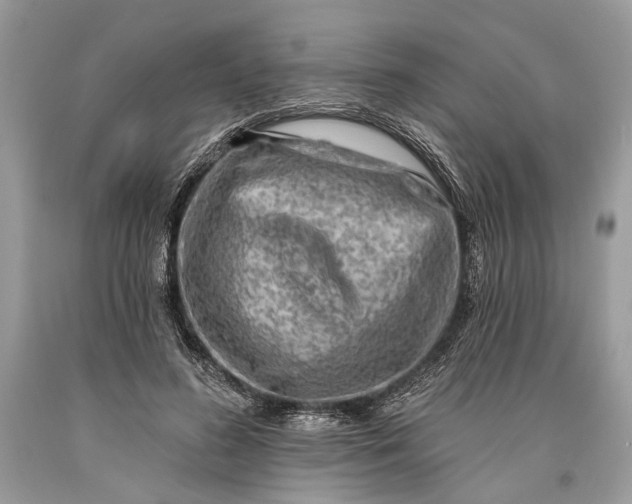 X0000093470596200710261045