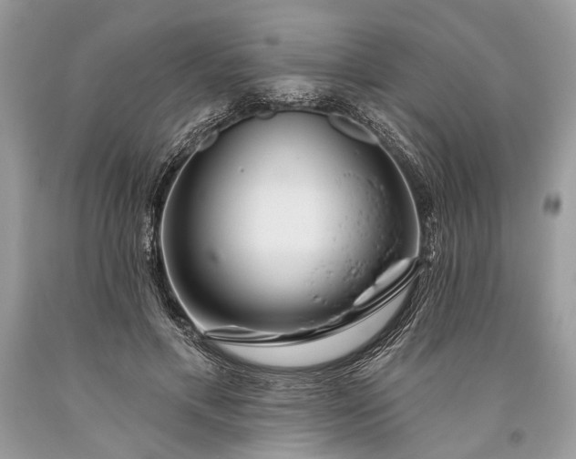 X0000093470597200710261045