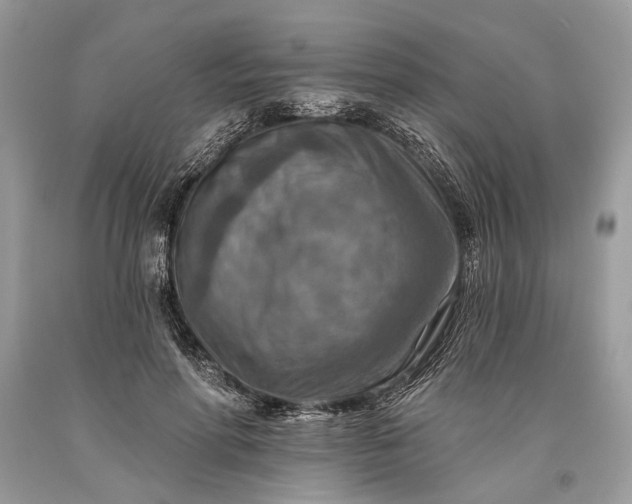 X0000093470598200710261045