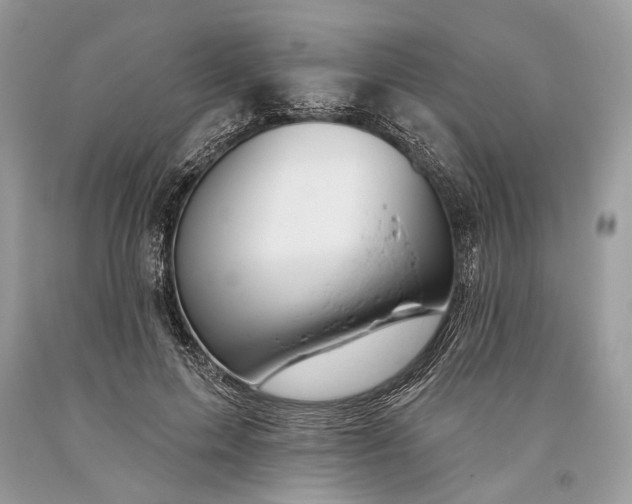 X0000093470599200710261045