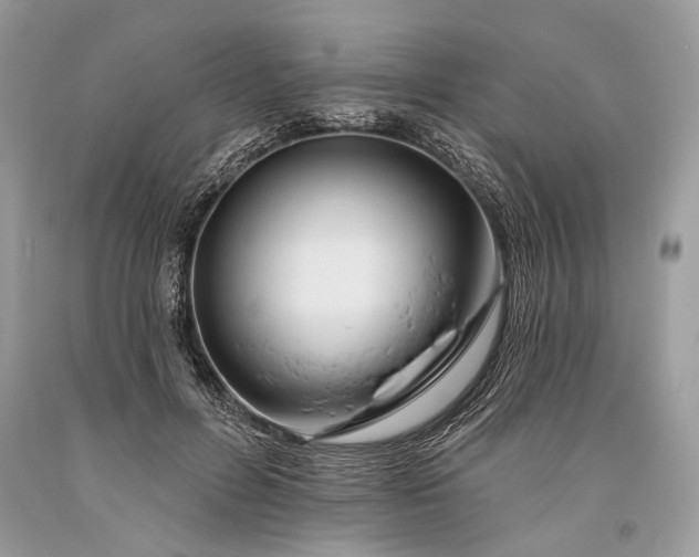 X0000093470600200710261045