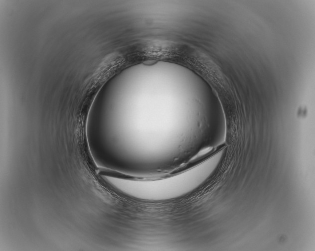 X0000093470601200710261045