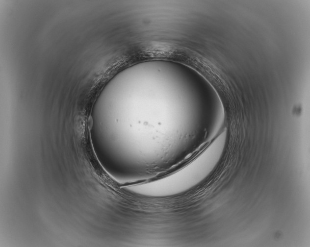 X0000093470604200710261045