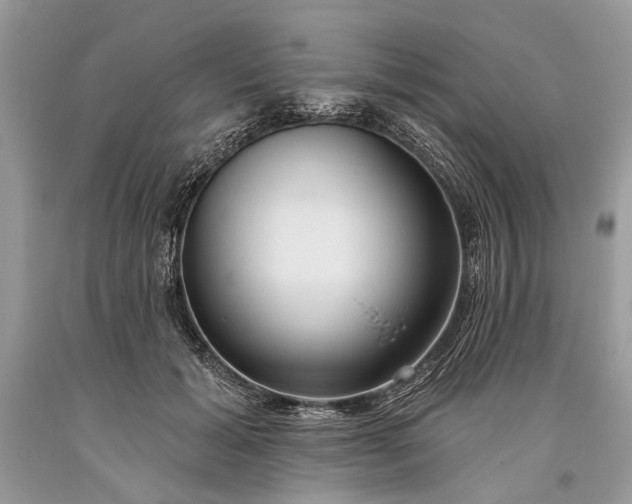 X0000093470605200710261045