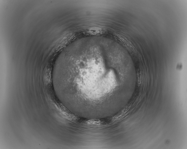 X0000093470606200710261044