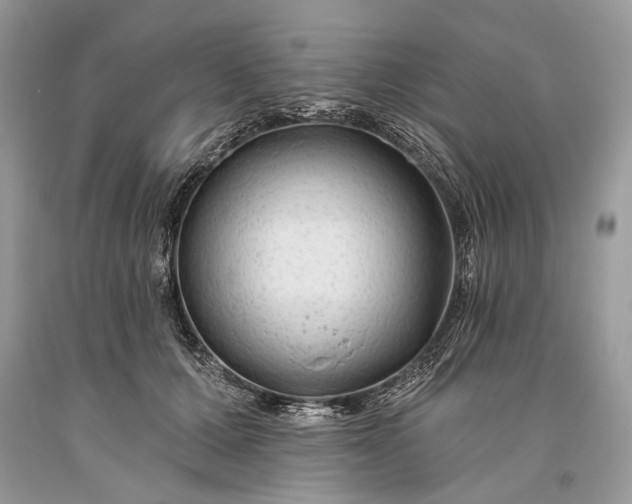 X0000093470607200710261044