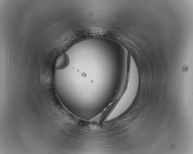 X0000093470608200710261044