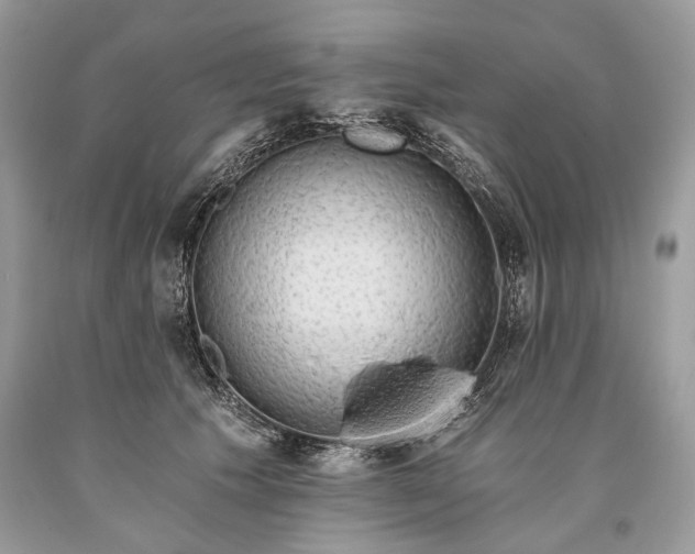 X0000093470609200710261044