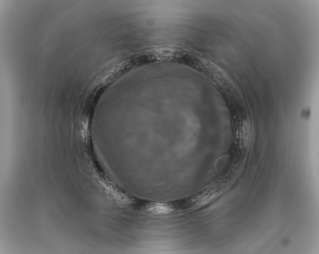 X0000093470610200710261044