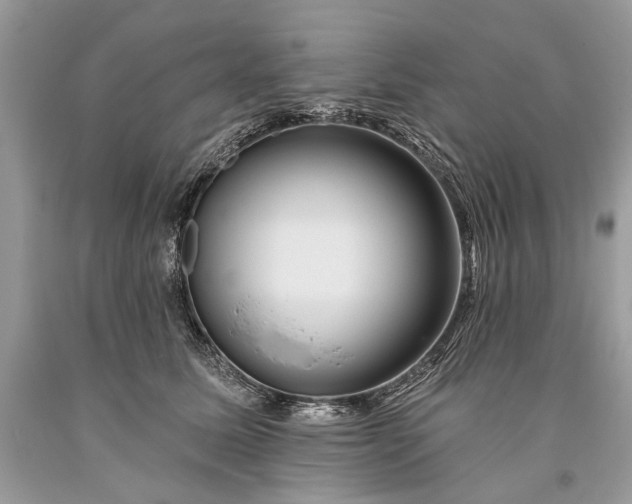 X0000093470611200710261044