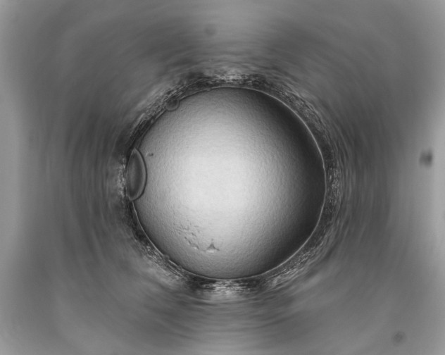 X0000093470612200710261044