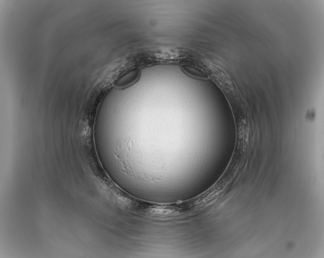 X0000093470614200710261044