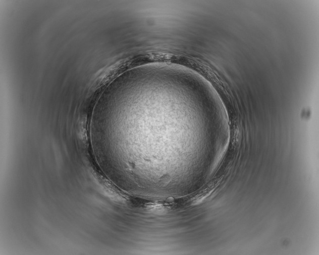 X0000093470616200710261044