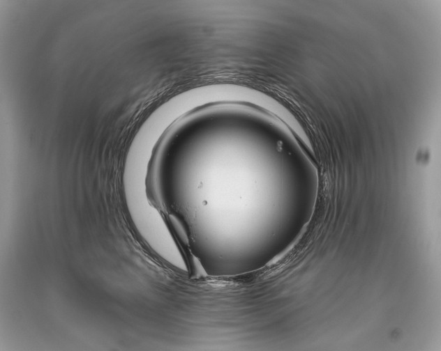 X0000093470617200710261044