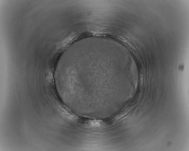 X0000093470618200710261044