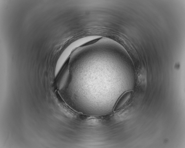 X0000093470620200710261044