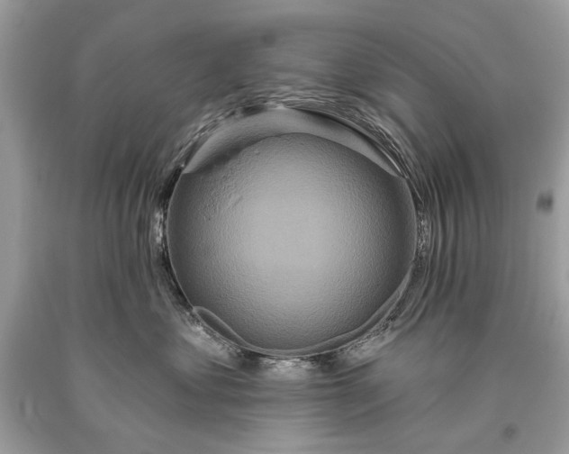 X0000093470621200710261044