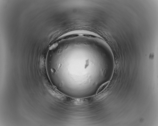 X0000093470623200710261044