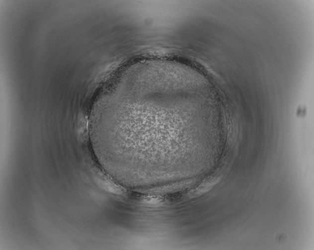 X0000093470624200710261044