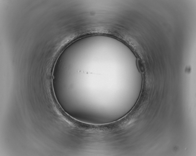 X0000093470625200710261043