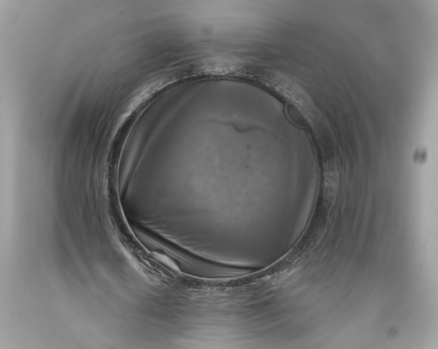 X0000093470626200710261043